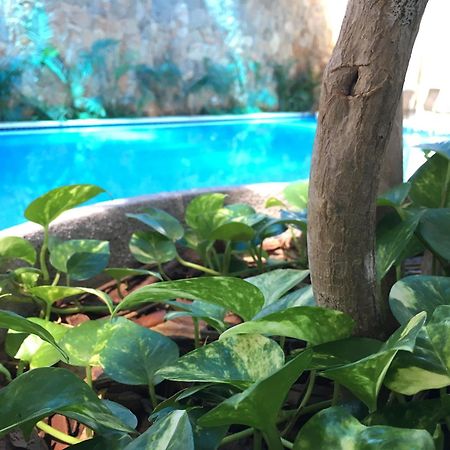 Hotel Fazenda Santa Monica Ловейра Екстер'єр фото